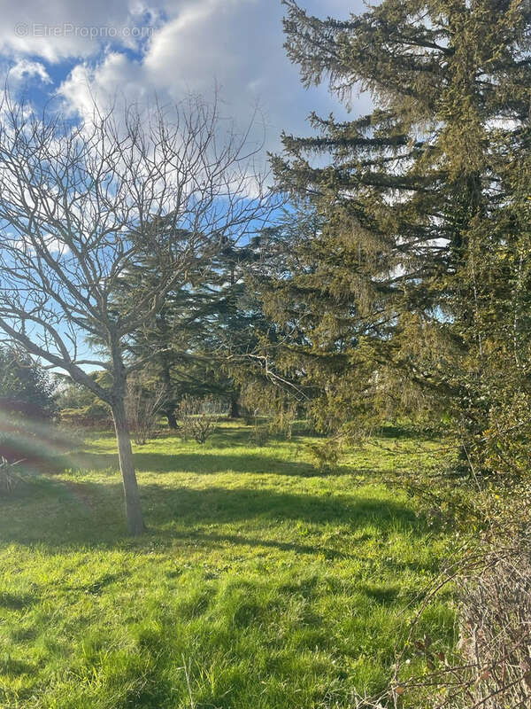 Terrain à SAINT-PIERRE-DE-LAGES