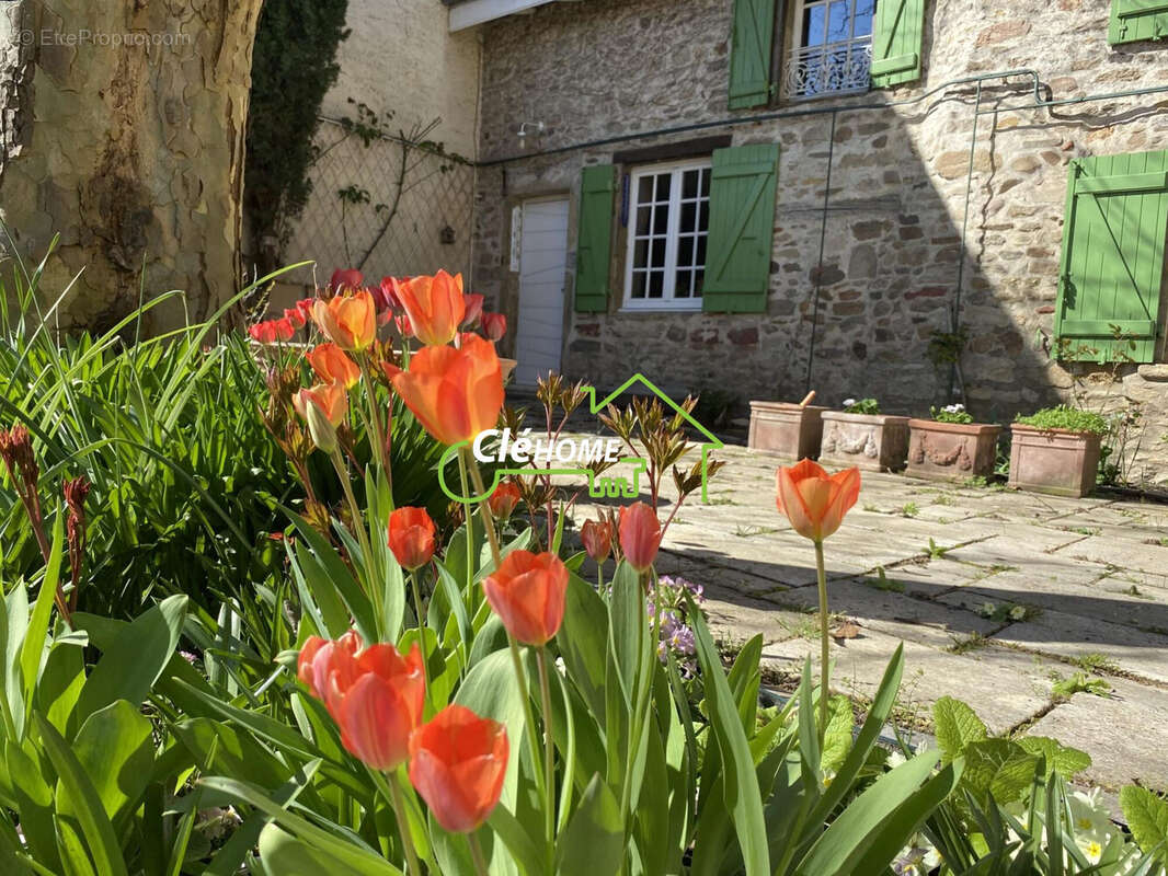 Maison à DOMMARTIN