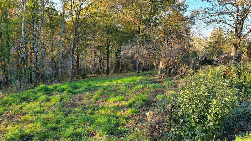 Terrain à COSNAC