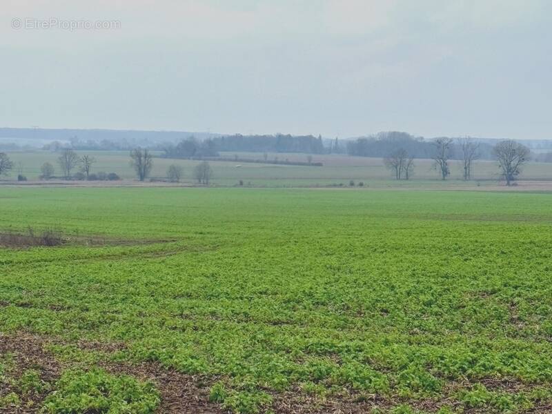 Terrain à GRISY-LES-PLATRES
