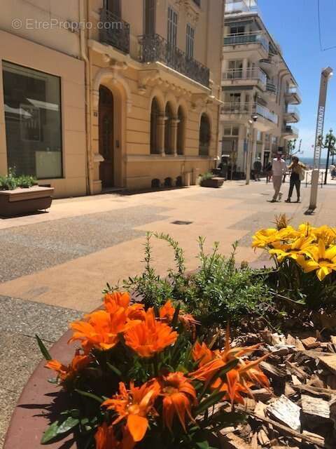 Commerce à SAINT-RAPHAEL