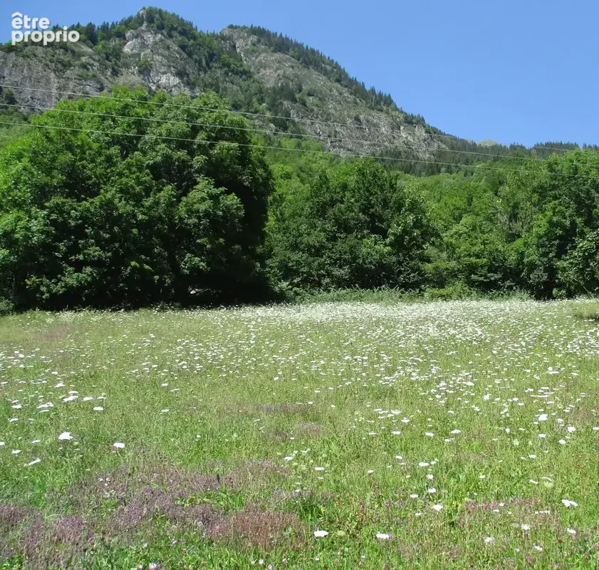 Terrain vaujany - photo 2