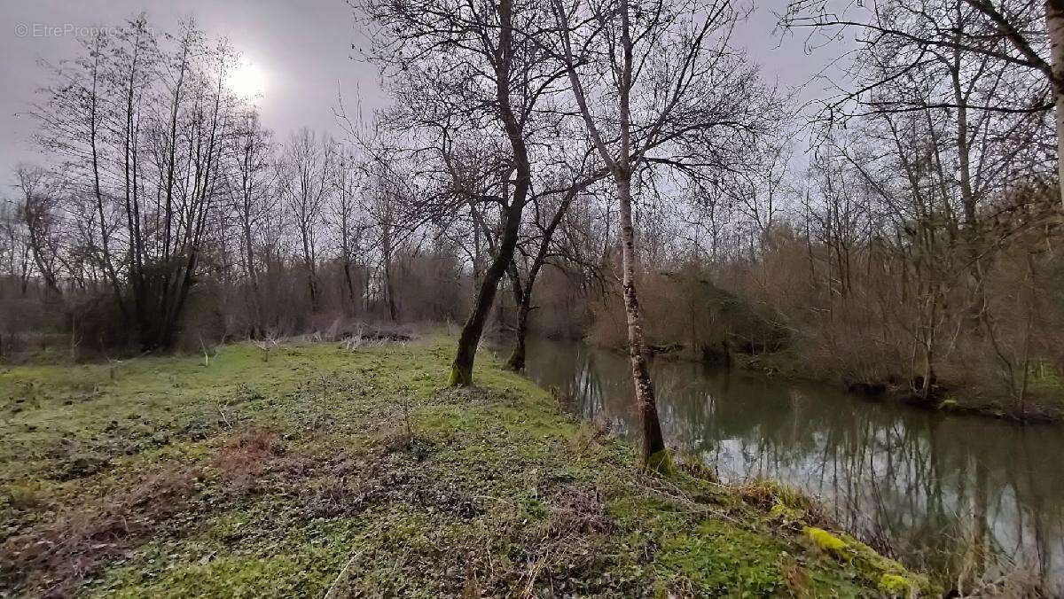 Terrain à SAINT-HILAIRE-LA-PALUD