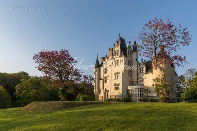 Propriete à vendre 50 pièces proche de TOURS (37) - photo 2