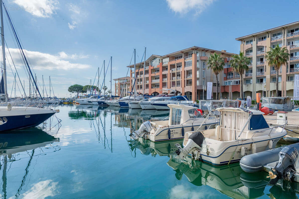 Port frejus - photo 11