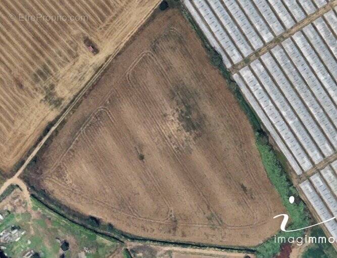 Terrain à LANSARGUES