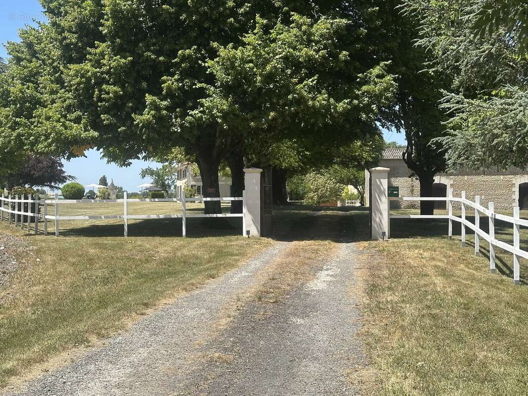 Belle maison de 5 chambres, dépendances et piscine sans voisins - photo 18