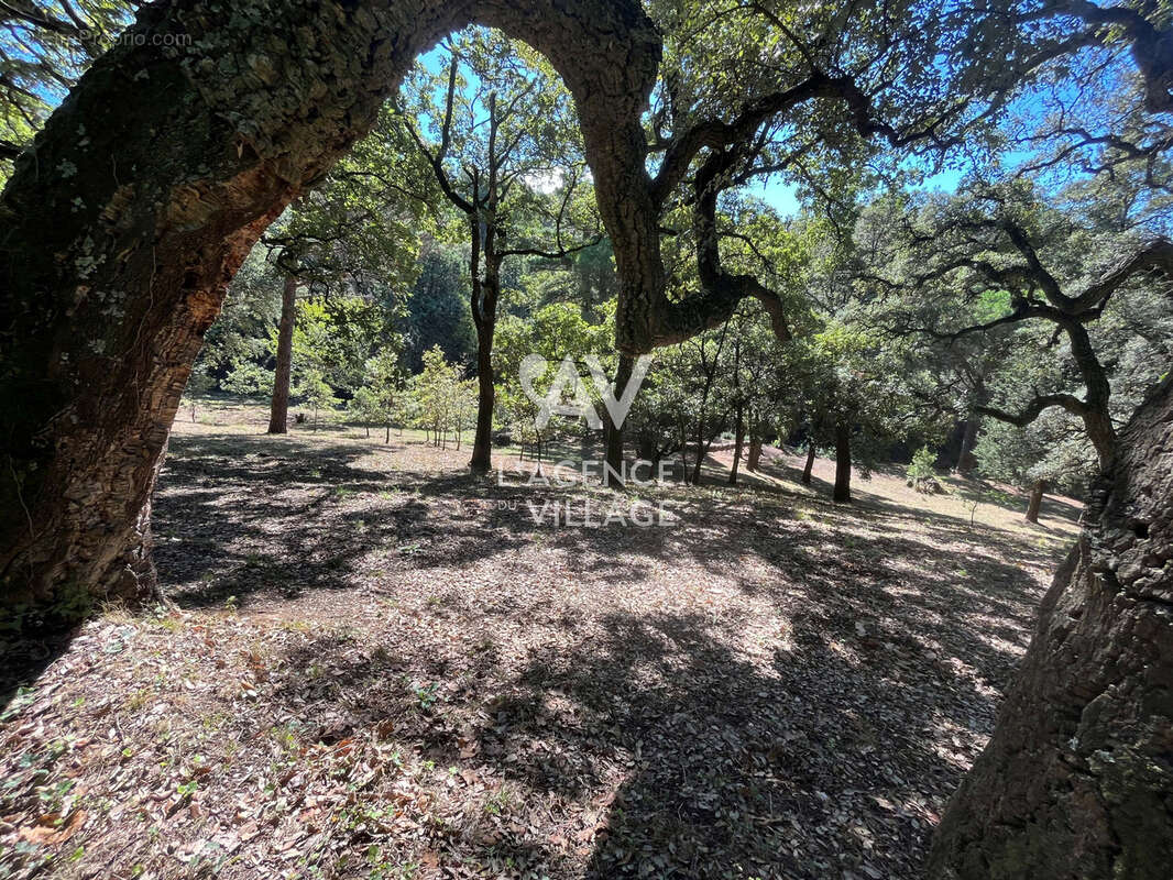 Maison à LA GARDE-FREINET