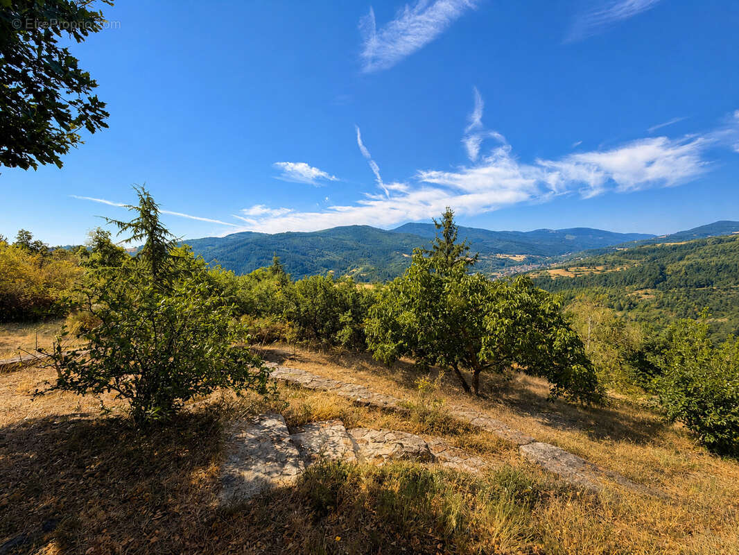 Villa provençale d'exception   Panorama, nature et sérénité - photo 5