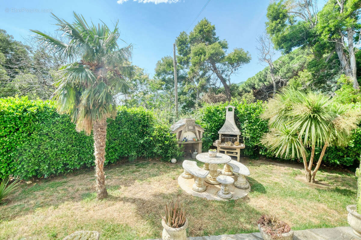 Maison 145m² à santa-maria-di-lota - photo 17