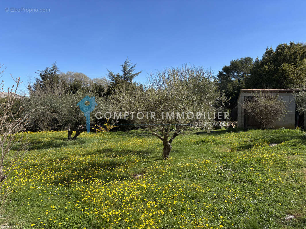 PERIPHERIE UZES : Maison P8 sur beau terrain arboré - photo 4