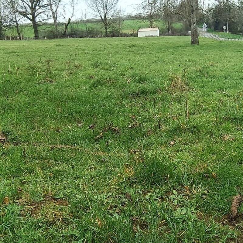 Terrain à SAINT-MARTIN-DE-SAINT-MAIXENT