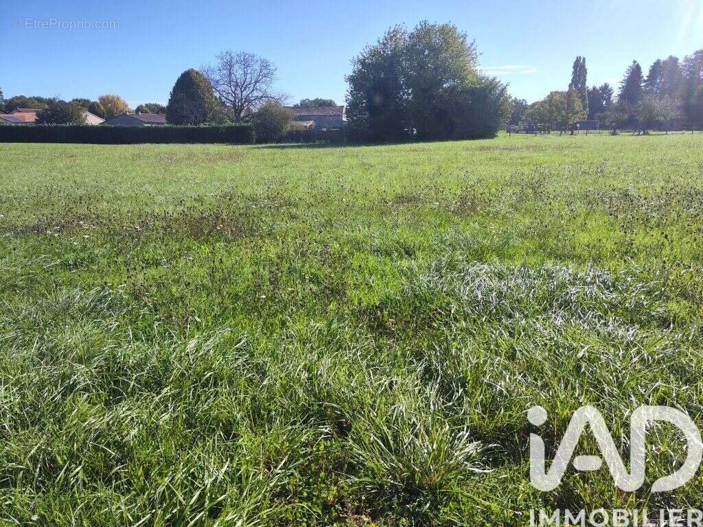 Photo 4 - Terrain à CHAMPAGNE-LE-SEC