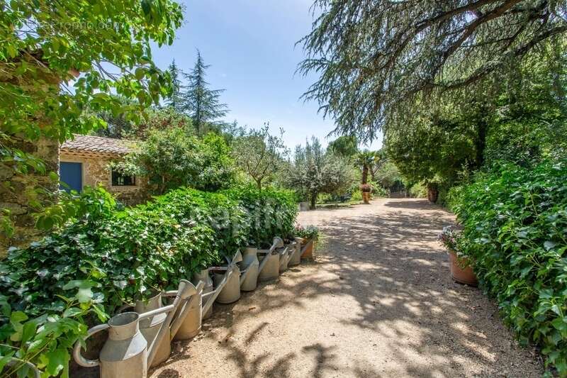 Mas à vendre 15 pièces  523 m2 avec Gîte 14 pers.SAINT SEBASTIEN D'AIGREFEUILLE (30) Terrain + de 7 ha - photo 3