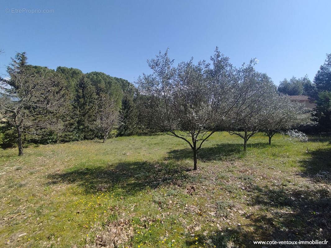 Terrain à SARRIANS