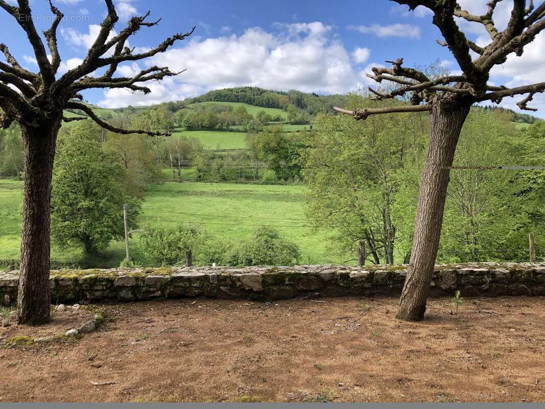 Photo 9 - Maison à AMPLEPUIS