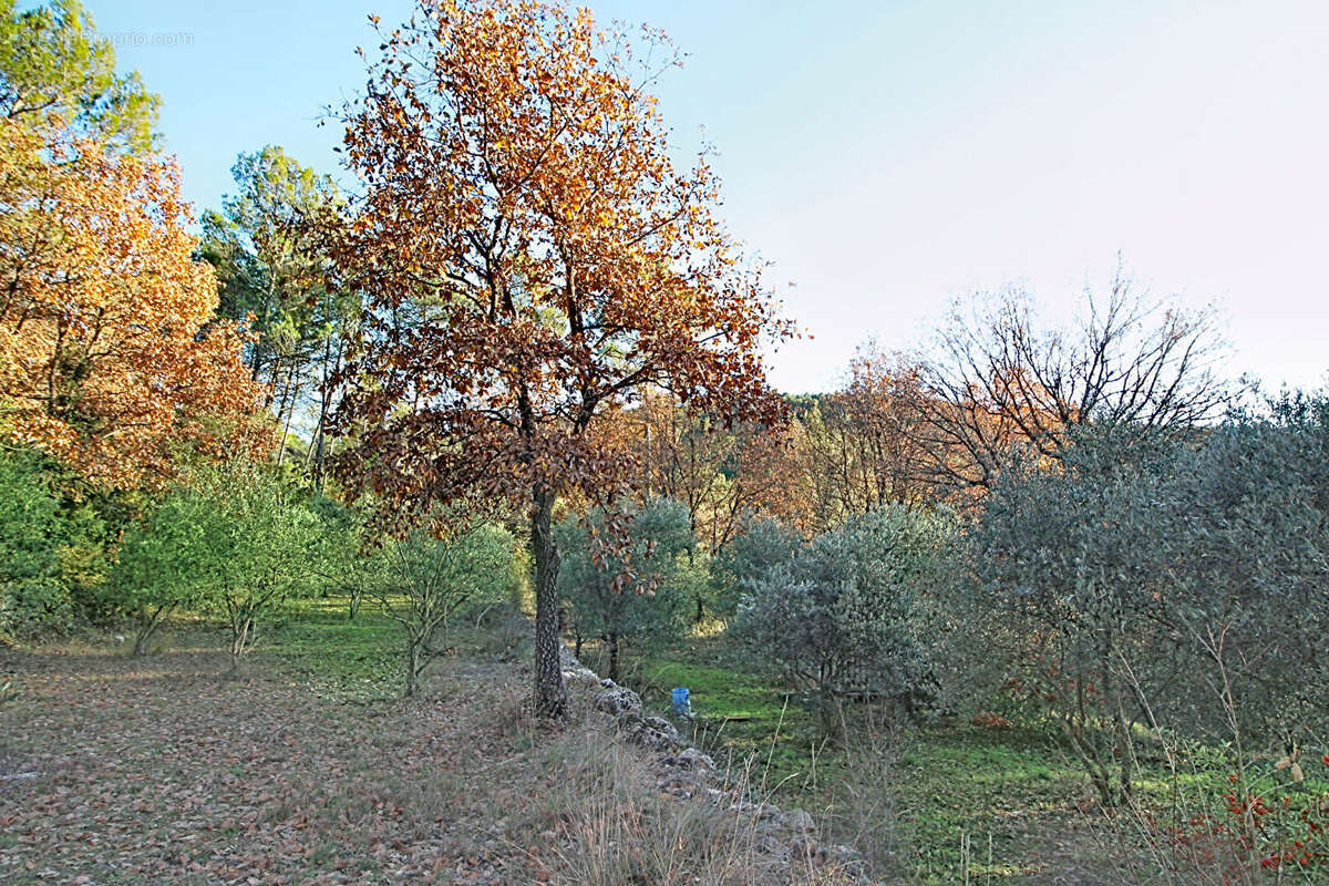Maison à ENTRECASTEAUX