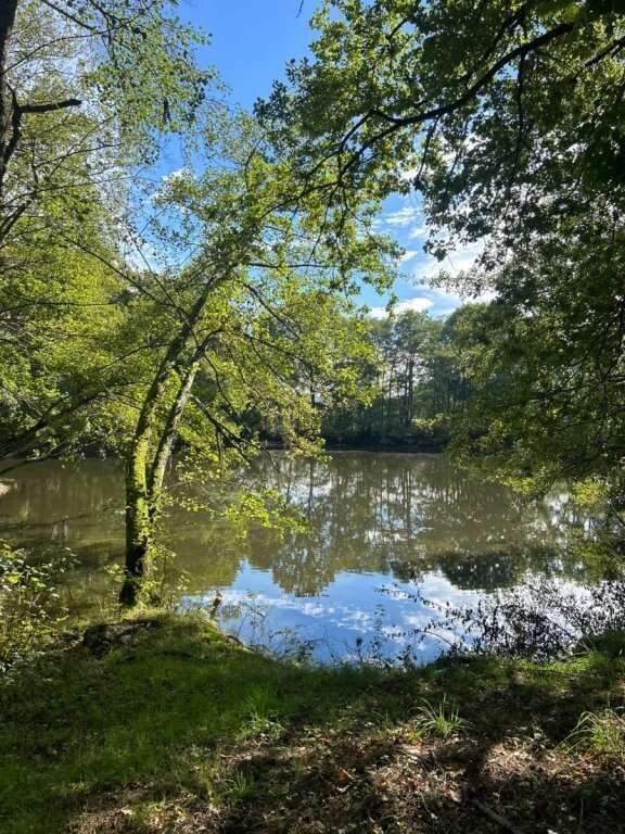 Étang 8200 m2 laizy - photo 7