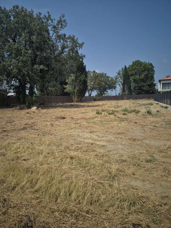 Terrain à vendre 2064 m²  - SAINTE MARIE LA MER - A 5 min des plages - photo 7