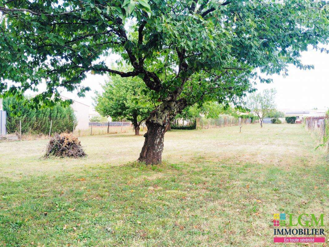 Lagrave centre (81), terrain constructible plat et clôturé de 1400 m² - photo 2