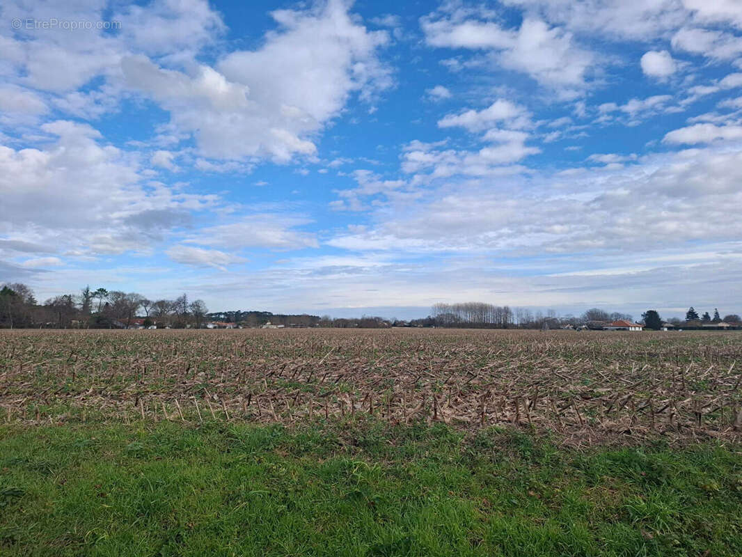 Terrain à SAINT-JEAN-DE-MARSACQ