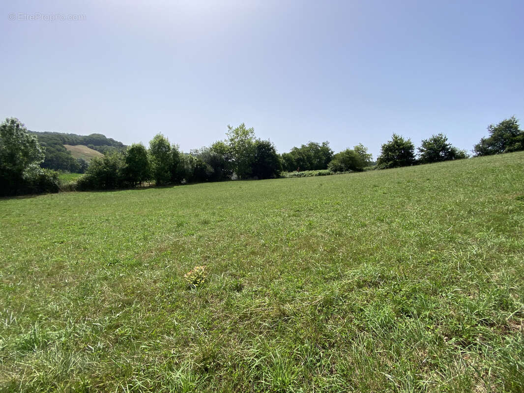Terrain à SAUVELADE