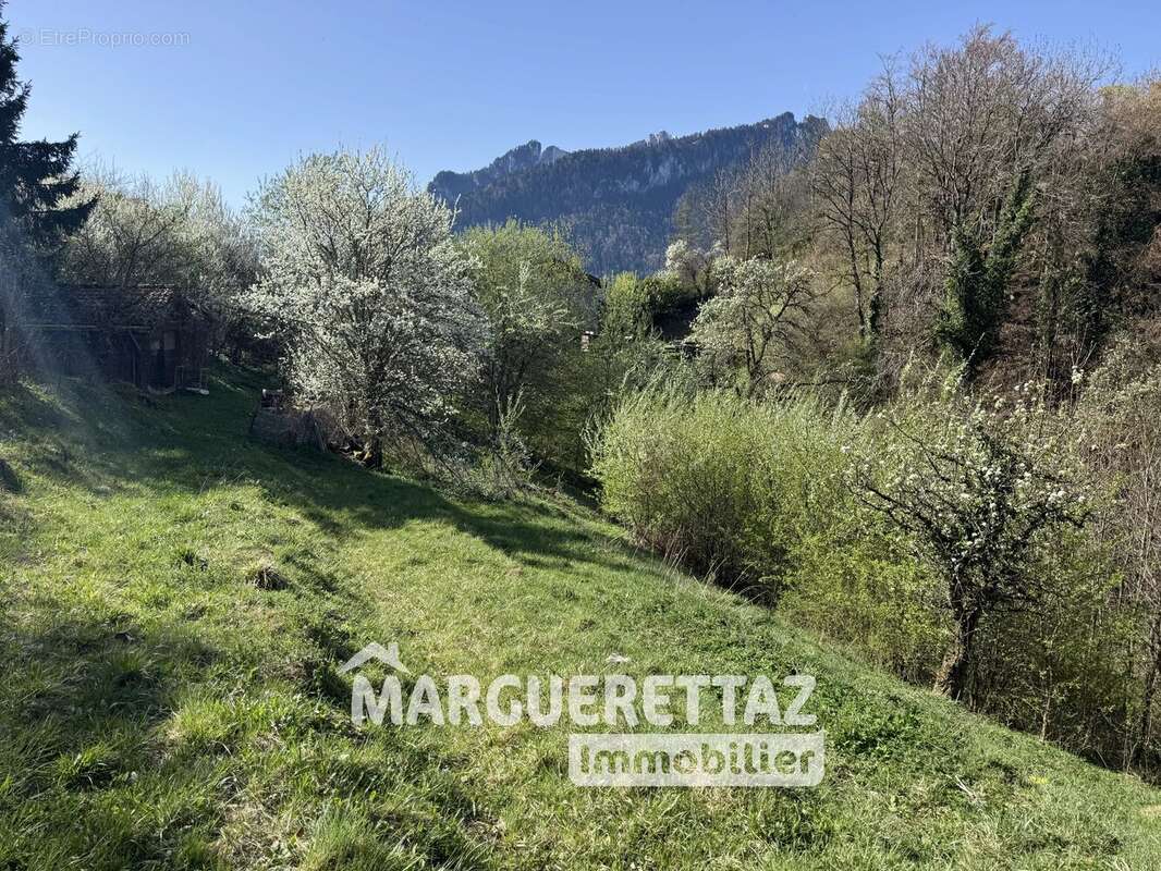 Maison à LA FORCLAZ