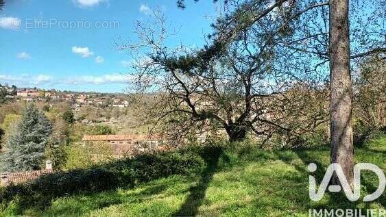 Photo 4 - Terrain à CHAUVIGNY