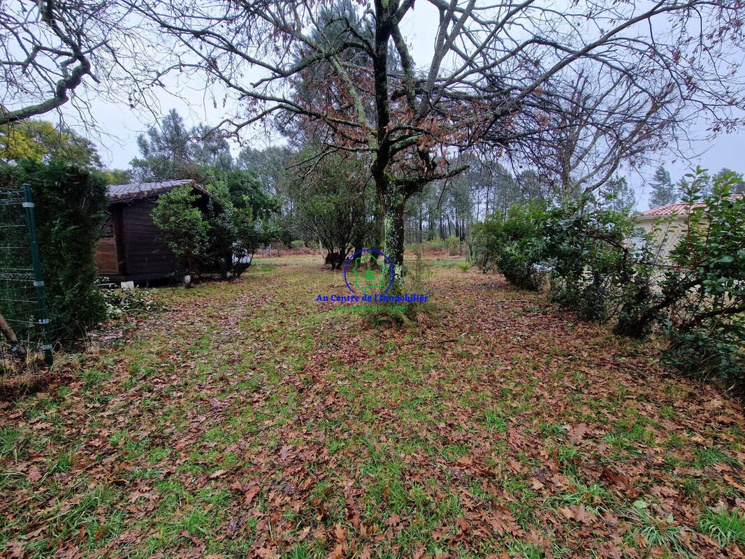 Terrain à BISCARROSSE