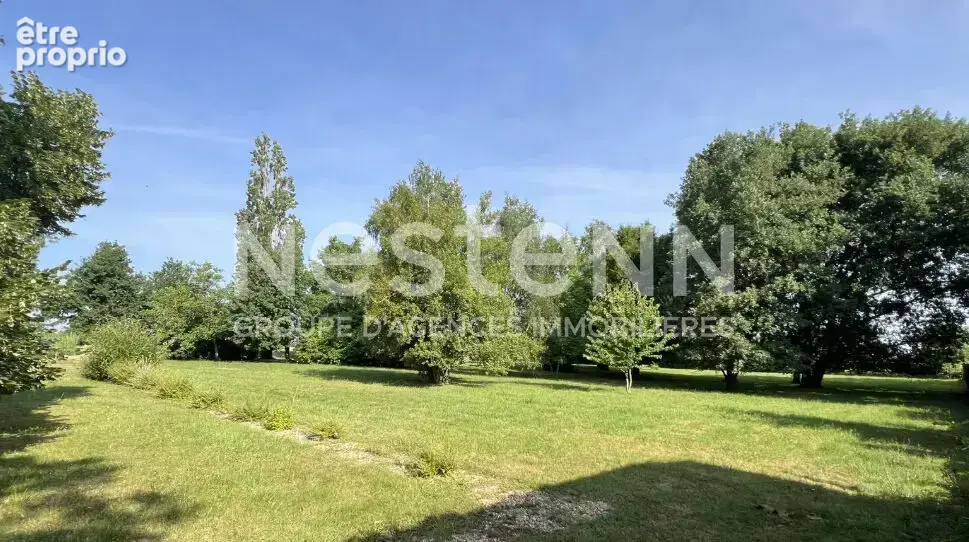 Maison de plain-pied - 4 chambres - Beaux volumes et vaste terrain arboré - photo 15