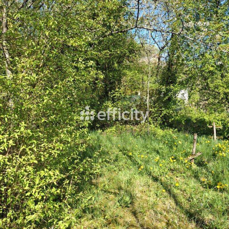 Terrain à ROUGEMONT