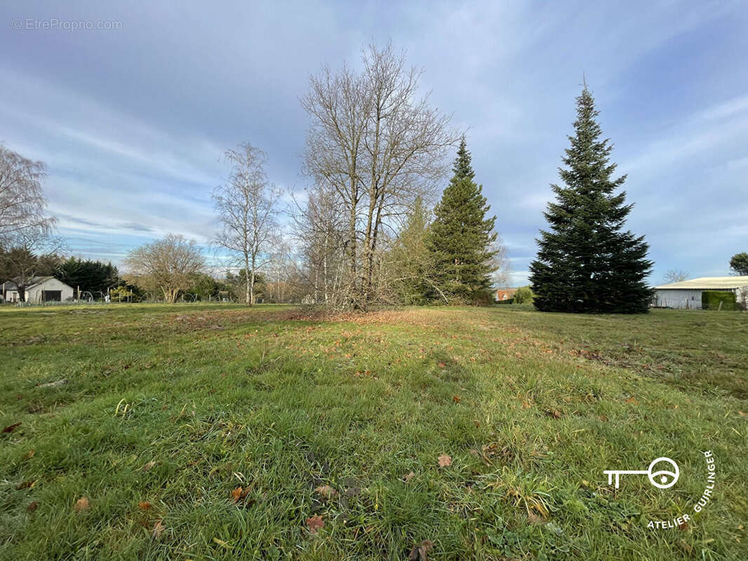 Terrain à MONTRIEUX-EN-SOLOGNE