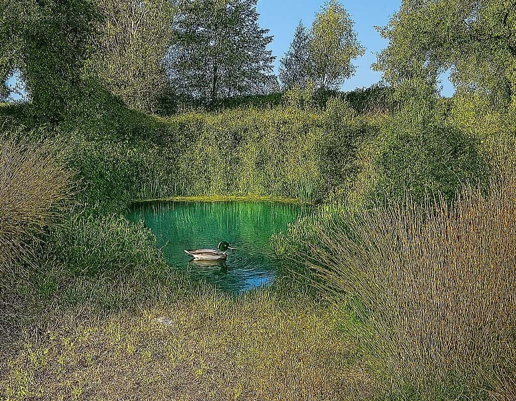 Ensemble immobilier rare, autonome et rentable - photo 13