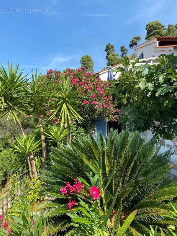 Maison à SAINT-BLAISE