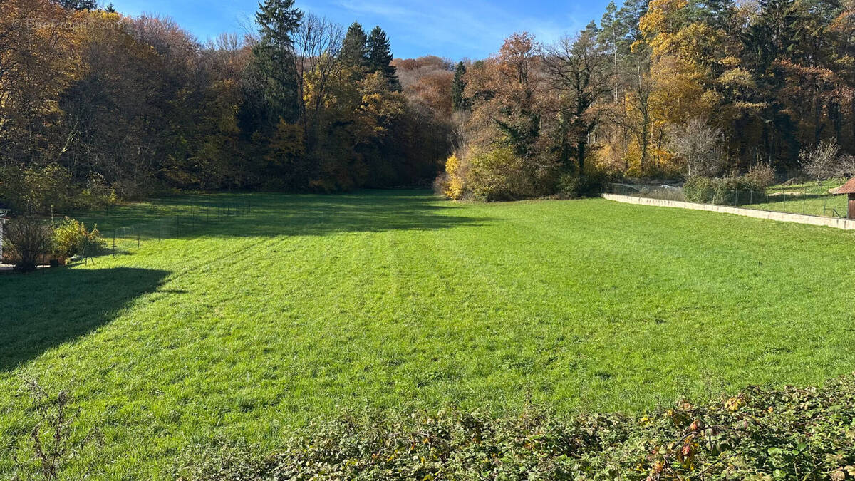 Terrain à LOUGRES