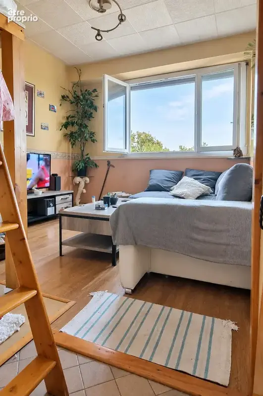 Investissement Serein : Studio Vendu Loué   Lyon 9 (Secteur Champagne) - photo 4
