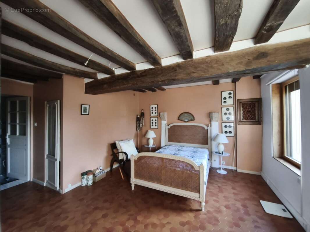 243 m² à Villefranche-Sur-Cher  - photo 112