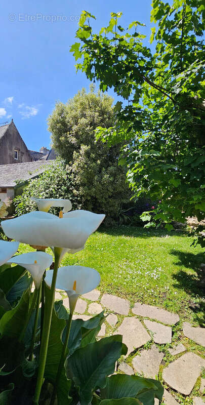 Appartement à QUIMPER