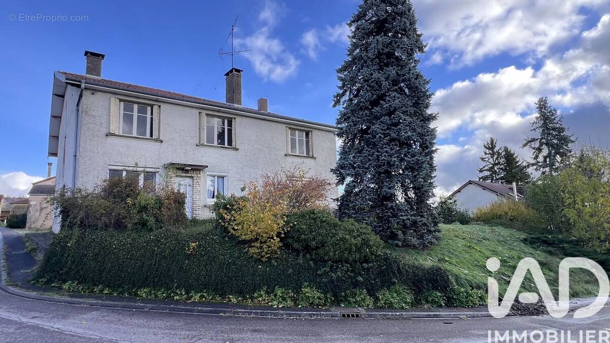 Photo 1 - Maison à DOMMARTIN-SUR-VRAINE