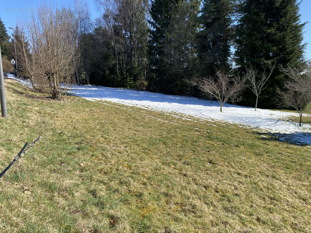 Terrain à MESSEIX