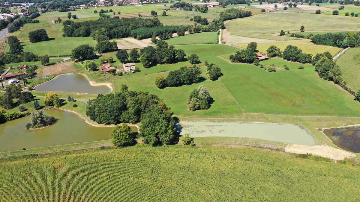 Photo 7 - Terrain à BAGE-LA-VILLE