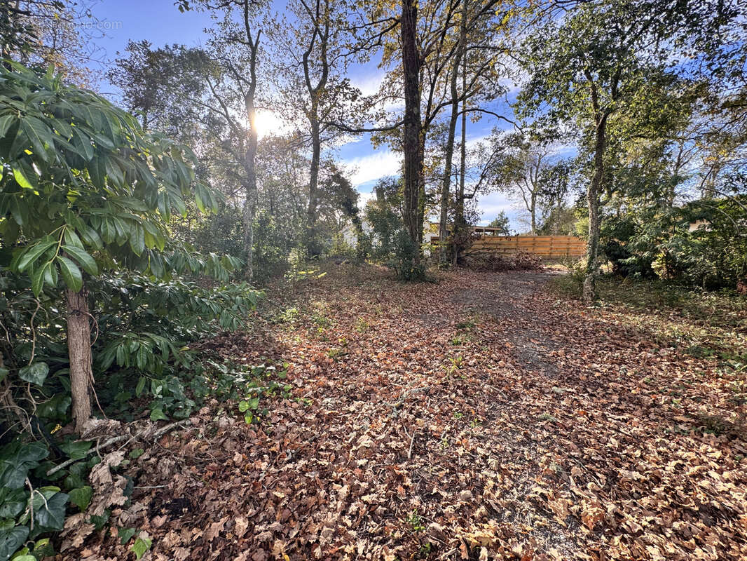 Terrain constructible de 1005m2 - photo 2