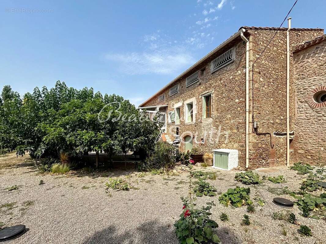 Superbe Mas traditionnel près de Perpignan - photo 2