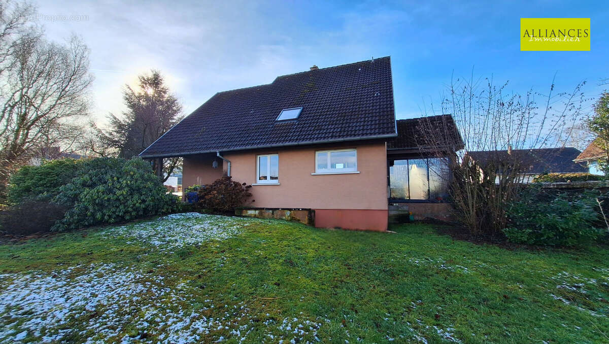 Maison à DANNEMARIE