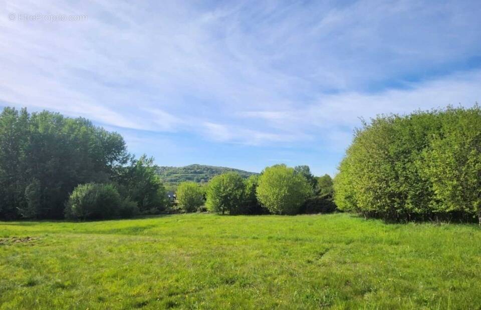 Terrain à LE BREUIL-EN-AUGE