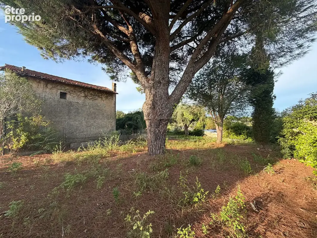 Cannes - croix-des-gardes  propriété à fort potentiel sur 3 920 m² - photo 6