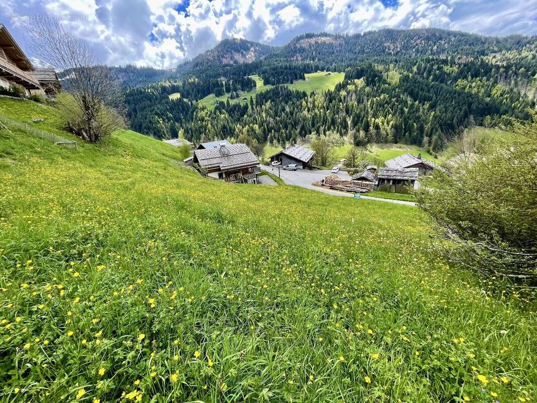 Terrain à LE GRAND-BORNAND
