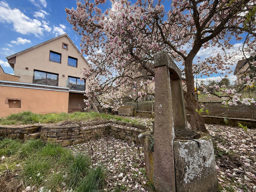 Maison à NIEDERMORSCHWIHR