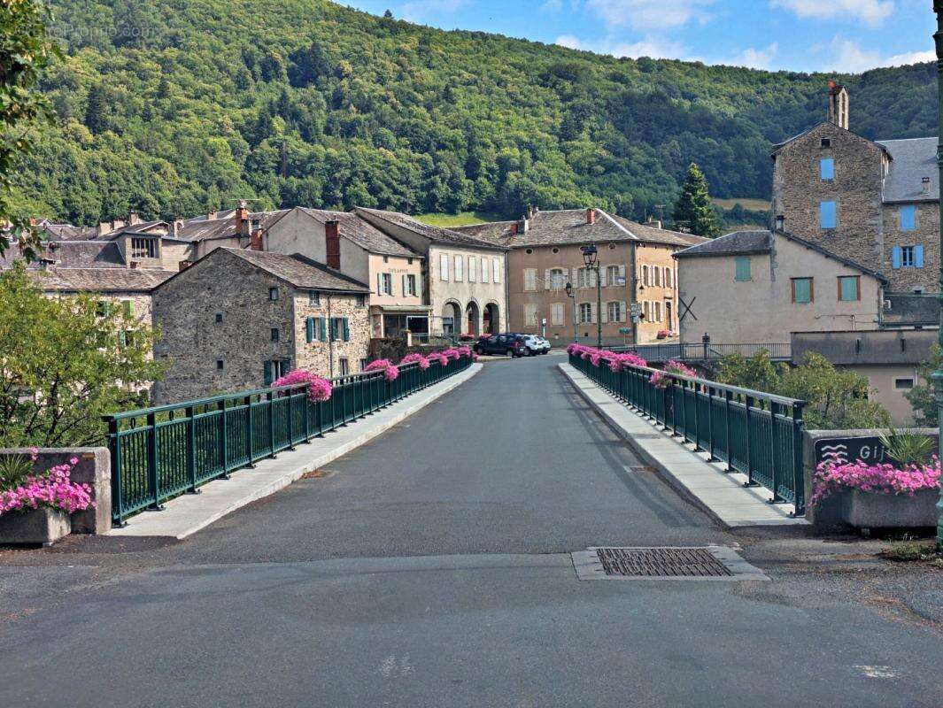 Maison 8 pièces / 158 m² / 265 000 EUR / VABRE - photo 19