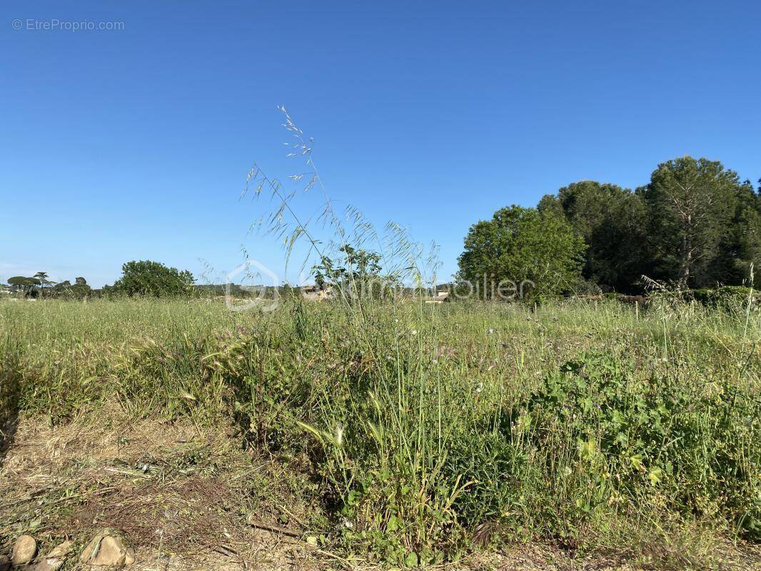 Terrain à LIGNAN-SUR-ORB